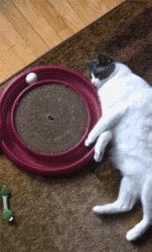 水中跑步机,跑步机正确跑步不伤膝盖的方法