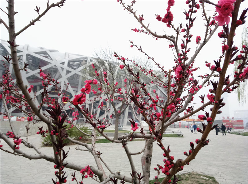 魅蓝note799,799元魅蓝手机