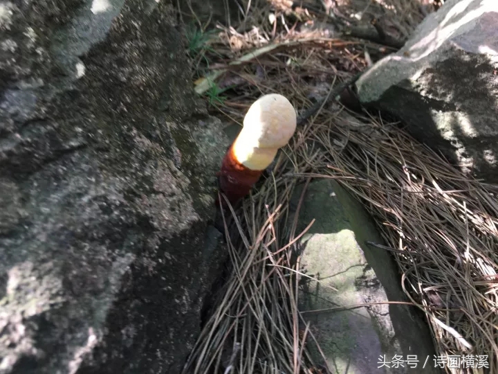 金华登山景点,金华适合爬山景点排名