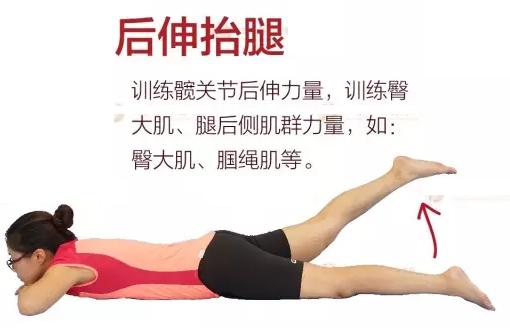 股骨头坏死的康复操,史主任股骨头坏死康复操