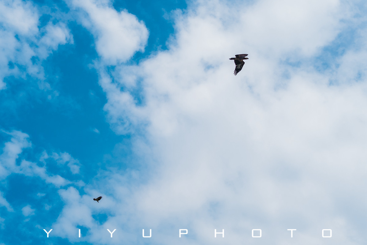 悠游一夏,马来西亚——六日自由行攻略