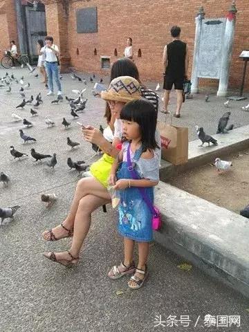 泰国记者谈中国人,泰国记者介绍西双版纳视频