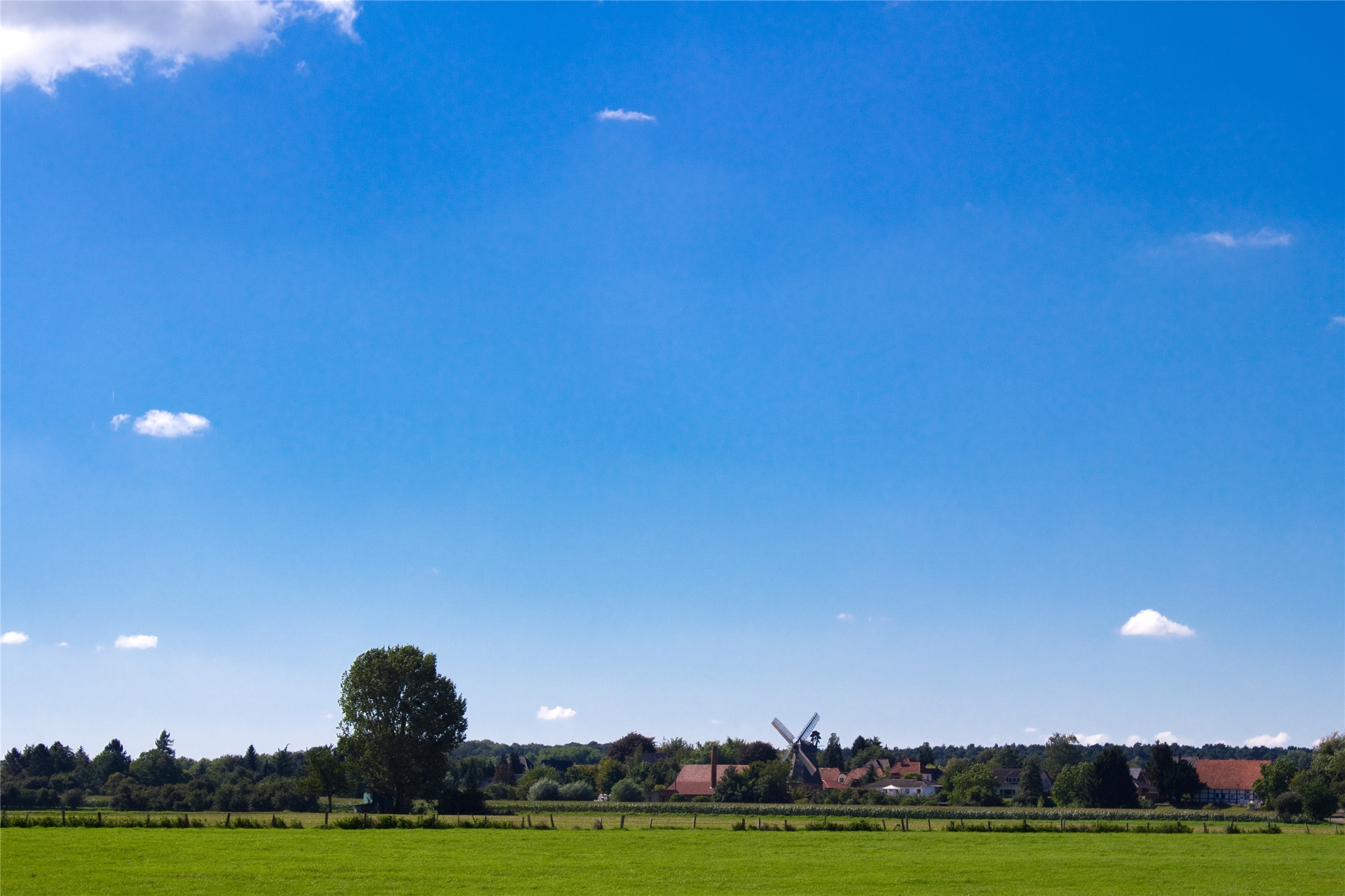 段友们，你们有没有有时候扣过*眼屁**忍不住想闻一下