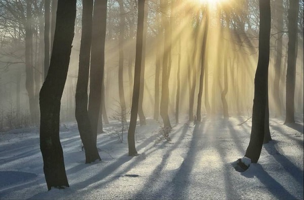 摄影测光图片大全,佳能四种测光模式的解析