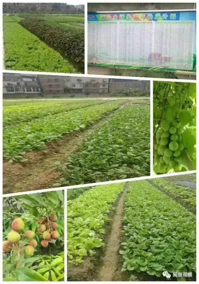 丁世忠出席安踏剪彩仪式,安踏员工福利