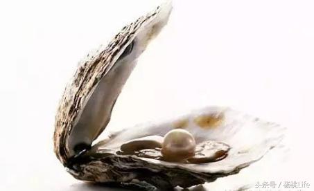 生蚝知识全攻略,蚝门盛宴99块100个生蚝