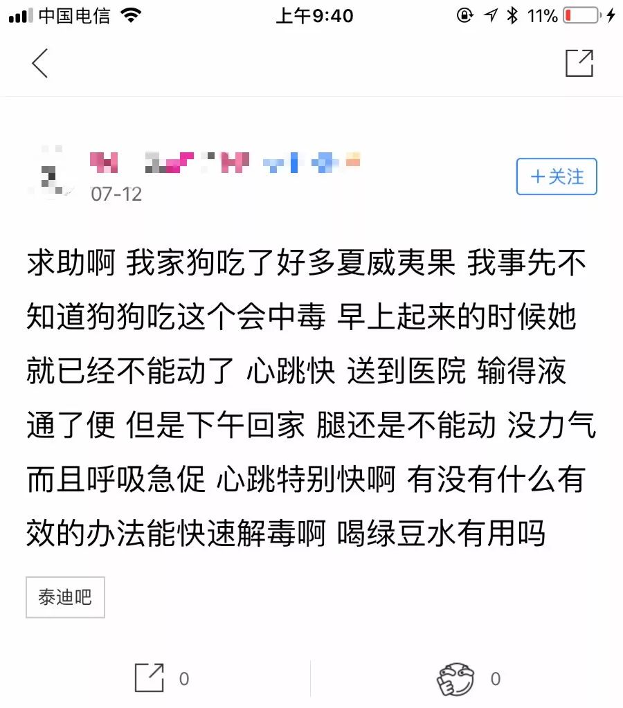 犬夏威夷果中毒如何治疗,夏威夷果对狗狗有害吗