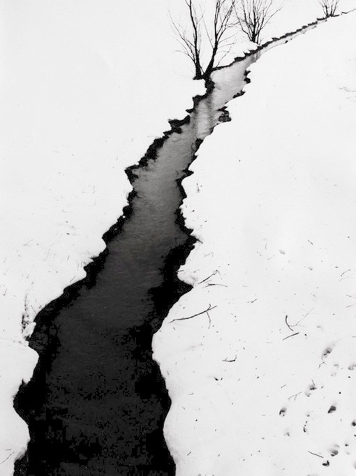 黑白照片的图,黑白图片两张