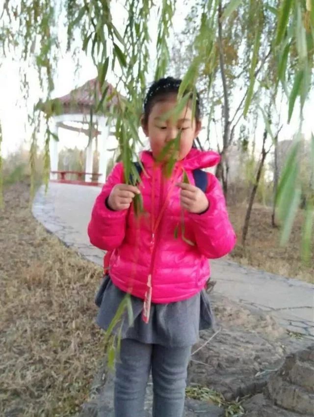 趣味树叶拼贴画手工,树叶粘贴画秋天落叶制作