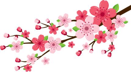 一大波年货正在抢购,一大波礼盒来袭