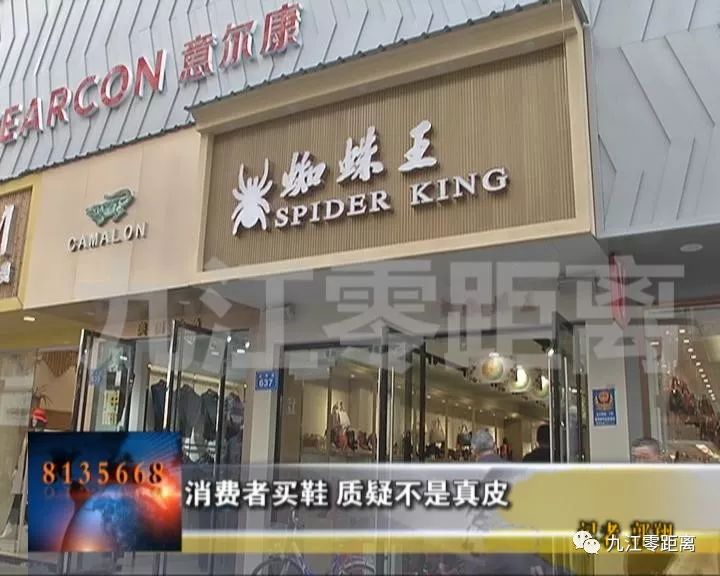 蜘蛛王真牛皮高档商务皮鞋,正宗蜘蛛王皮鞋辨别