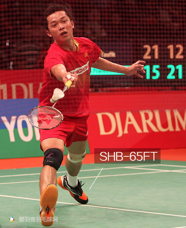 安赛龙和陶菲克,陶菲克vs安赛龙盖德完整版