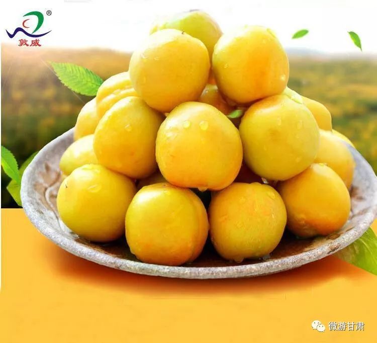 敦煌特产李广杏价格,敦煌杏子有哪些