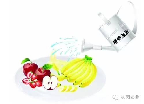 番茄坐果不好怎么办,番茄坐果少怎么补