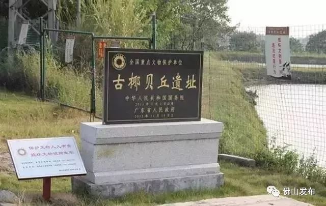 佛山十大森林公园,佛山森林公园在哪里