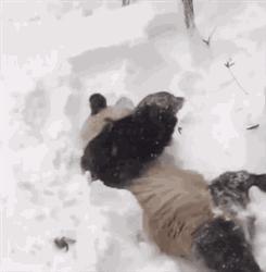 吸湿排汗速干运动内衣夏季,零下几十度打底速干排汗内衣推荐