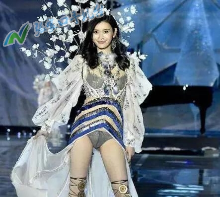 手机版张家口新闻网,张家口新闻头条视频