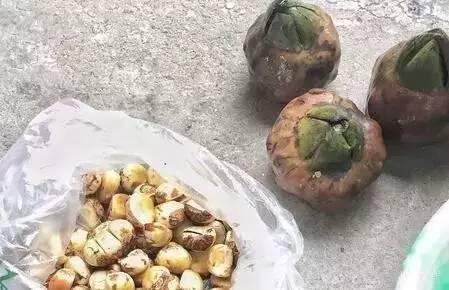 男人长期喝红豆薏米粥好吗,一直喝红豆薏米粥有坏处吗