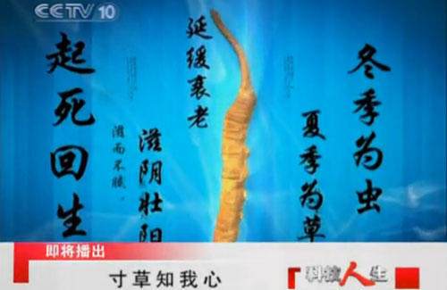 你蒙我骗：为什么一炮而红的是这家没有批准文号的极草企业呢？