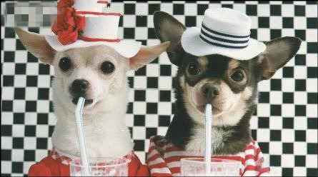 高盛做空阿里,高盛做空腾讯