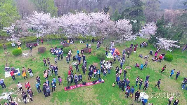 飞手杨泽宇:用无人机做全景漫游系统两天超过25000人访问