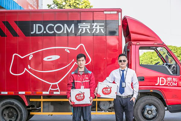 米易樱桃和凉山小樱桃,攀枝花米易黄草小樱桃