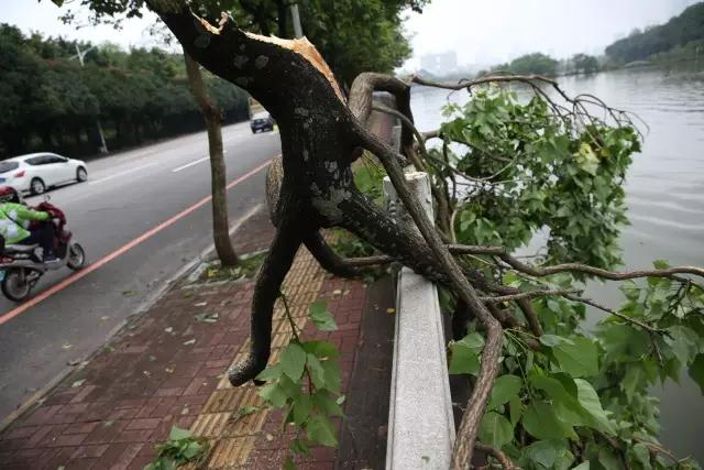 惠州天空出现奇幻景象,广州雨后现海市蜃楼