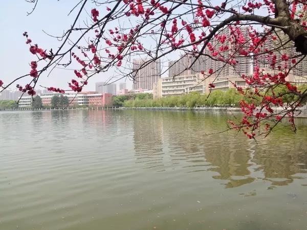 中南民族大学值得学吗,中南民族大学值得读吗