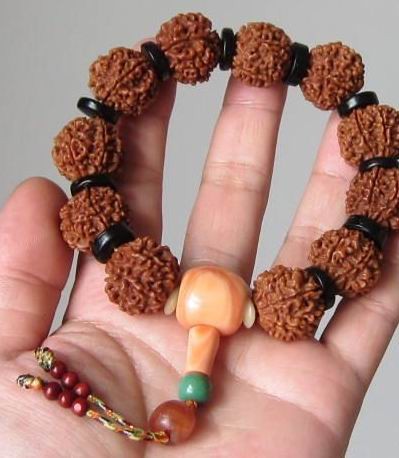 最常见的普通菩提子是哪种,菩提子种类大全图解