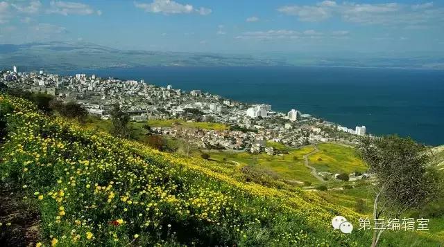 鐘瑰お浜轰俊浠扮殑鍔涢噺,淇′话鐨勫姏閲忔敮鎾戠潃鐘瑰お姘戞棌