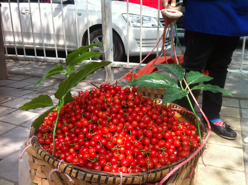 樱桃上市,樱桃什么时候上市最便宜