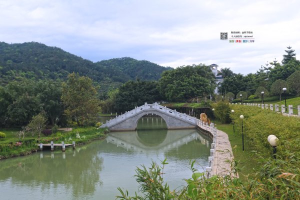 有一种春天叫牡丹花开,有一种春天叫花开艳丽