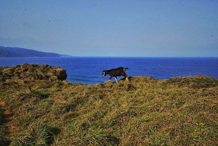 台湾游记自由行,台湾环岛旅行记