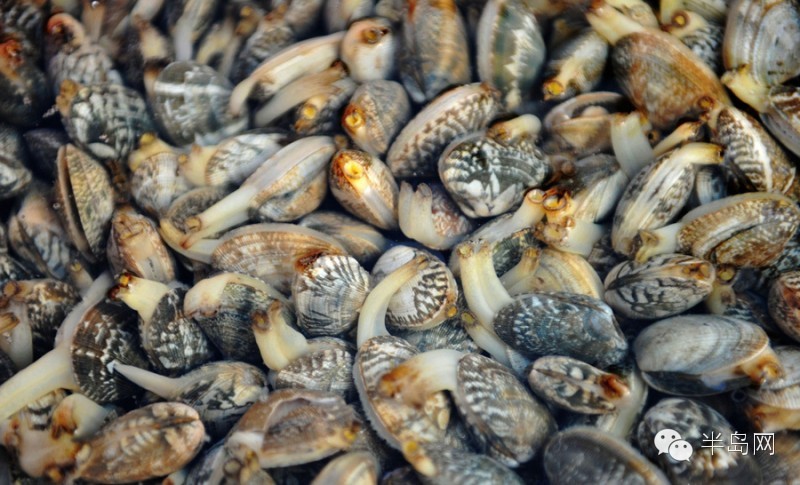那些不认识的海鲜小干货,超级干货2022