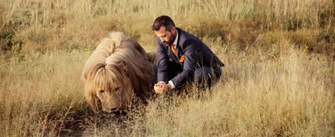 男子与三头狮子踢足球，名义上是保护动物，而真实原因竟是这！