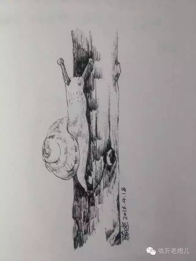 带着书本去旅行绘画,带着旅行箱去旅行绘画