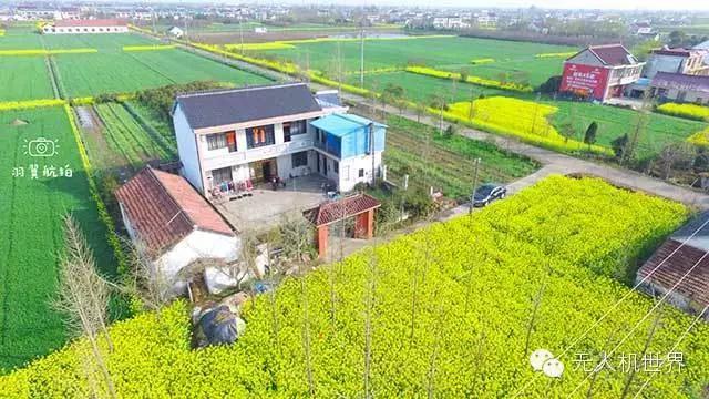 飞手杨泽宇:用无人机做全景漫游系统两天超过25000人访问