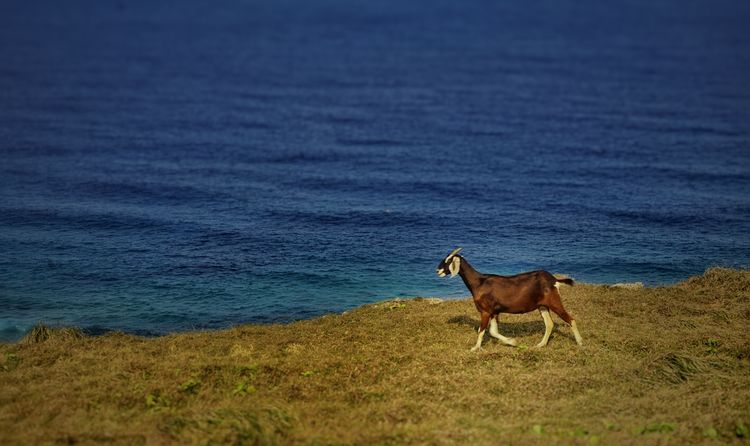 台湾游记自由行,台湾环岛旅行记