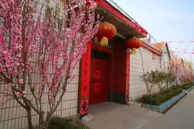 临淄:特色小镇的春天——金岭敬仲朱台齐陵