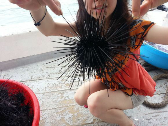 那些不认识的海鲜小干货,超级干货2022