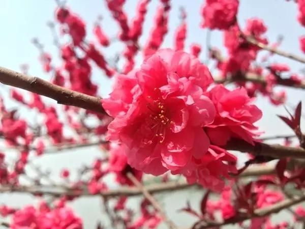 中南民族大学值得学吗,中南民族大学值得读吗