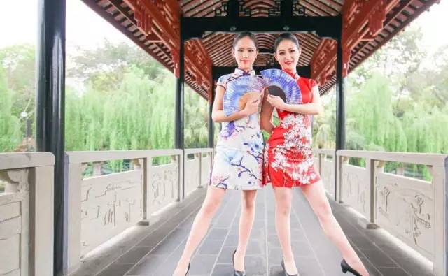 空姐旗袍亮相,虹桥机场空姐旗袍快闪