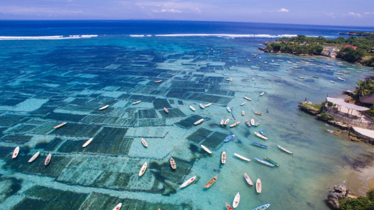 带上这五条攻略再说走就走巴厘岛