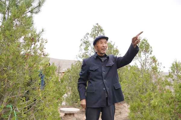 通渭县许志强,通渭农民许志强