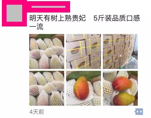 水果微商可以做什么生意,水果微商如何赚钱快