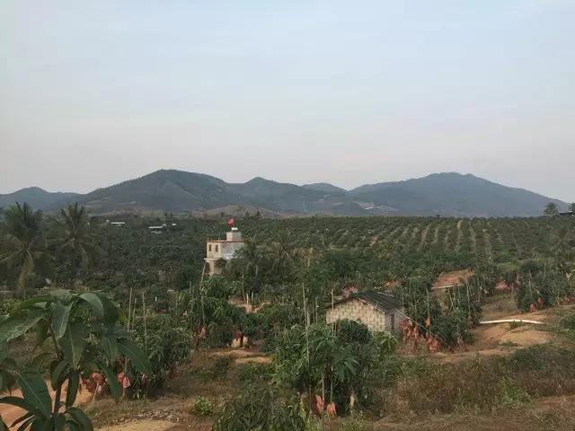 微商做水果能挣钱吗,微商水果前景如何