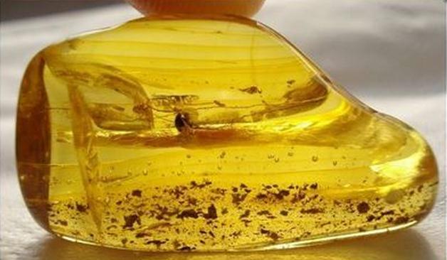 紫光灯下真假琥珀蜜蜡对比图,放大镜下怎么辨别蜜蜡琥珀真假