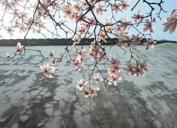 慎独慎初慎微慎染慎友慎终,始终做到慎初慎微慎独慎终