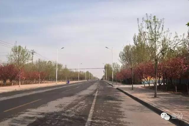 临淄:特色小镇的春天——金岭敬仲朱台齐陵