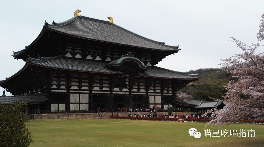 奈良鹰长菩提清酒,奈良时代的日本历史